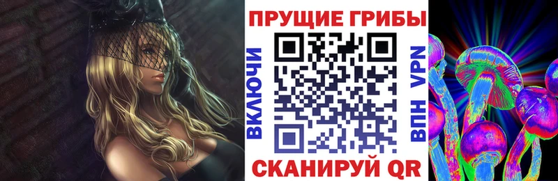 Купить где  Королёв  Псилоцибиновые грибы GOLDEN TEACHER 